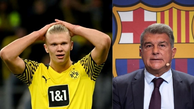 英超第17轮最佳候选：哈兰德领衔，罗杰斯、勒温在列（英超第17轮最佳候选名单：哈兰德领衔，罗杰斯与勒温入围）